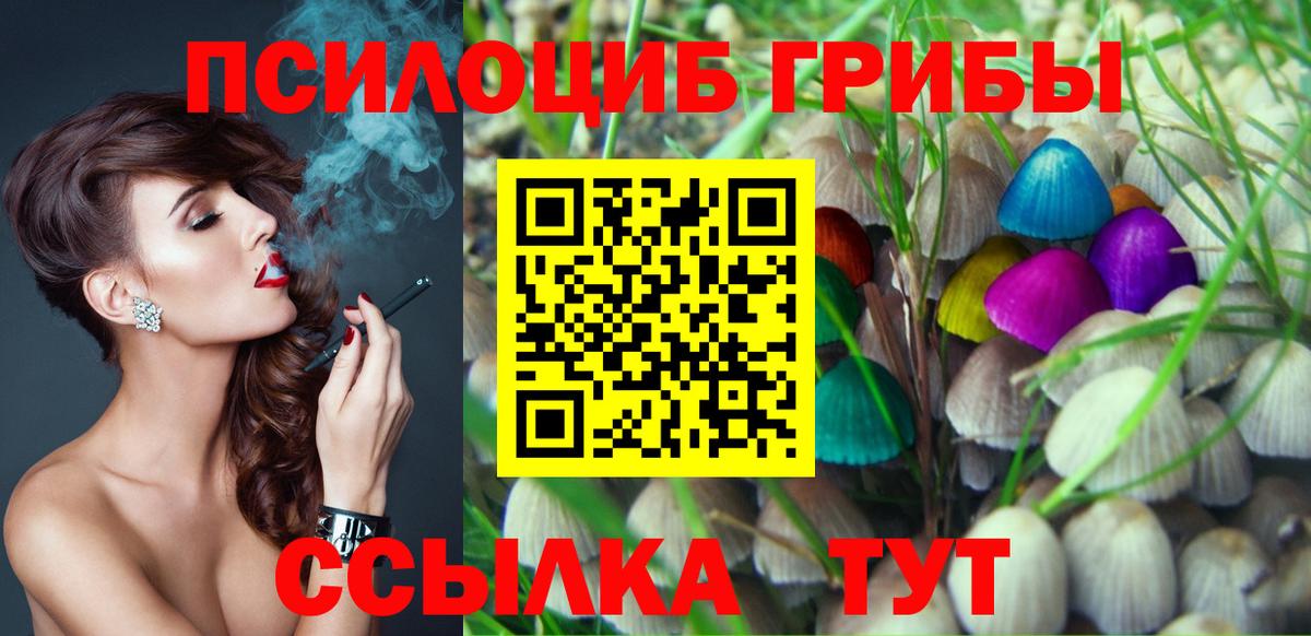 Псилоцибиновые грибы Psilocybe  где можно купить наркотик  Вход с VPN  Бердск  Псилоцибиновые грибы MAGIC MUSHROOMS 