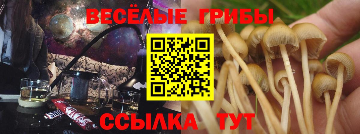 Галлюциногенные грибы мицелий Бердск